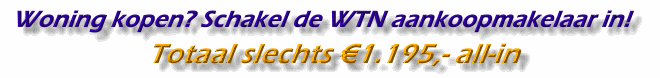 De WTN aankoopmakelaars. De aankoop van uw woning verzorgd door gecertificeerde makelaars en taxateurs.